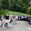 Stiftung Alters- Pflegeheim Riedacker - Alpakabesuch im Paradiesli beim Wohnhuus Niesen
