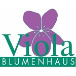 blumenhaus-viola