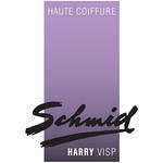 haute-coiffure-harry-schmid