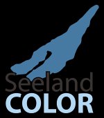 seeland-color-maler--und-gipsergeschaeft-huegli