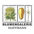 blumengalerie-mattmann-ag