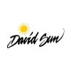 david-sun-energie-solaire-sarl