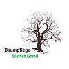 baumpflege-dietrich-gmbh