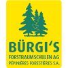 burgi-s-forstbaumschulen-ag