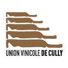 union-vinicole-de-cully---espace-de-location-vinilingus