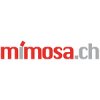 mimosa-chemineebau-undgewuerze-ag