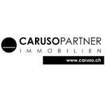 caruso-partner-immobilien-gmbh