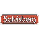 salvisberg-electricite-sa