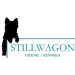 chenil-kennels-stillwagon