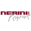 nerini-peinture-sarl