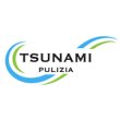 tsunami-pulizia