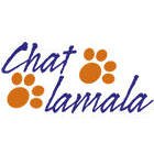 chat-lamala-peinture-sarl