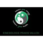 kinesiologie-praxis-vallesi