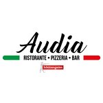 ristorante-pizzeria-audia-bellinzona