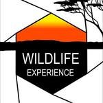 l-oeil-sauvage---wildlife-experience