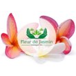 massage-thai-fleur-de-jasmin