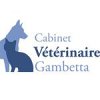 cabinet-veterinaire-gambetta