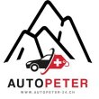 autopeter-24