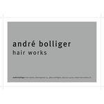 andre-bolliger-hair-works