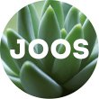 joos-floristik-und-innenbegruenung
