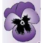 viola-floristik-gaertnerei-gmbh