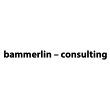 bammerlin---consulting