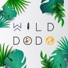wild-dodo-sarl
