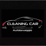cleaning-car-di-milena-savic