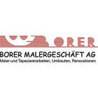 borer-malergeschaeft-ag