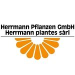 herrmann-pflanzen-gmbh